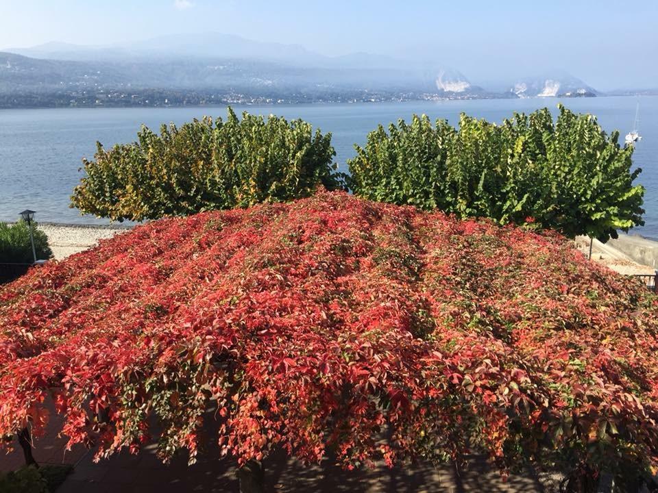 Albergo Riva Reno Di Leggiuno Exteriör bild